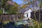 縮小IMGP7770.jpg