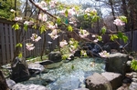 縮小IMGP7776.jpg